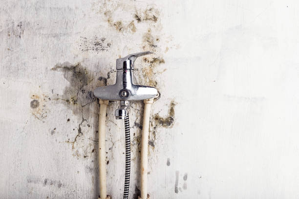 Best Mold Remediation for Specific Building Types in Marietta, GA
