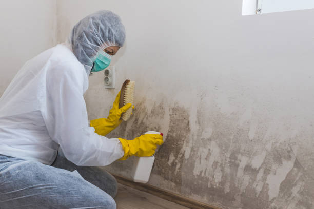 Best Crawl Space Mold Remediation in Marietta, GA